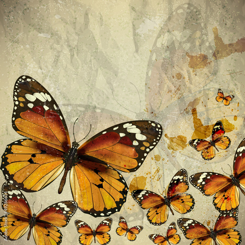 Fototapeta Colorful vintage background with butterfly. Grunge paper texture