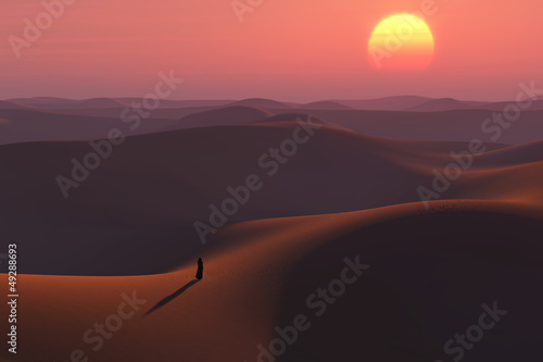 wanderer in the desert