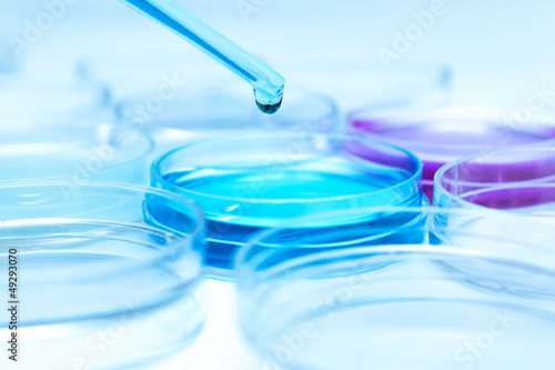 Pipette with drop of color liquid and petri dishes