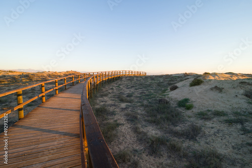 Arenales dunes