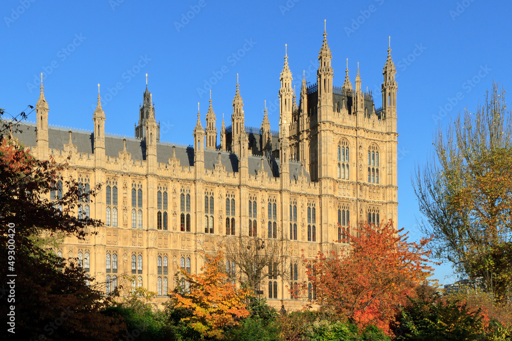 Houses of Parliament and coloured bushes