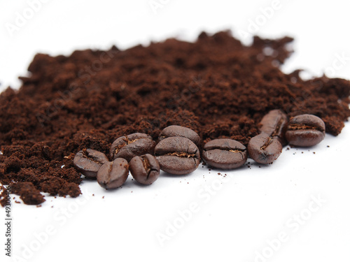 Coffee seed on coffee ground