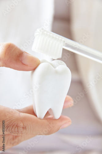 dentist holding molar with brush,dental concept