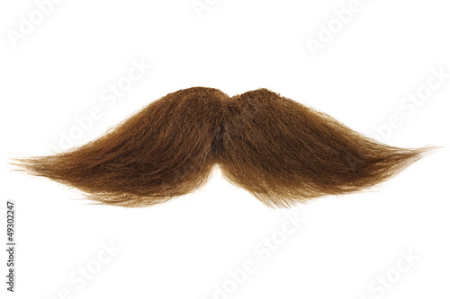 Vászonkép Brown mustache isolated on white