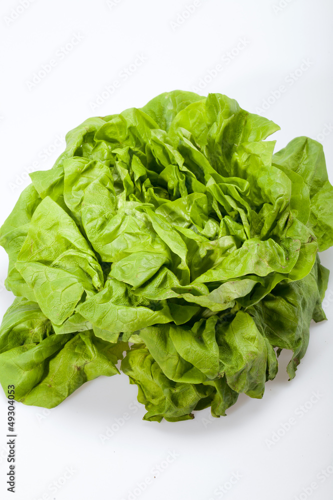 Fresh green Lettuce salad isolated on white background Fresh green Lettuce salad isolated on white background