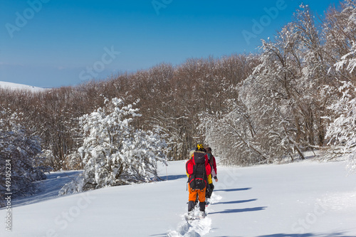 hikers in a winter forest