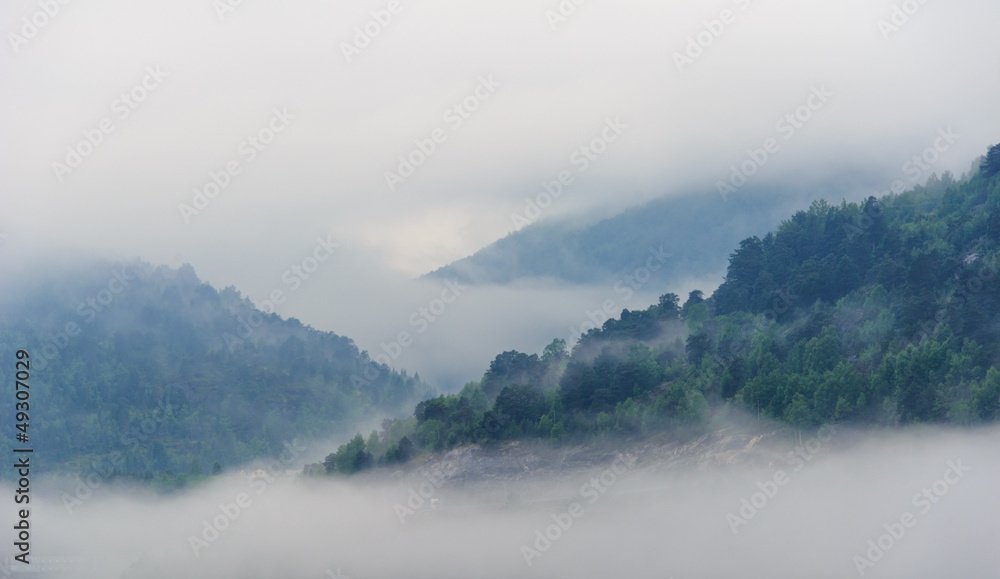 Fog in mountain Fog in mountain