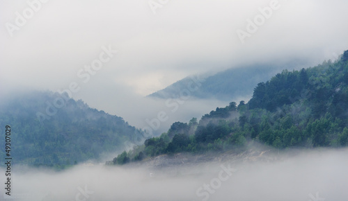 Fog in mountain