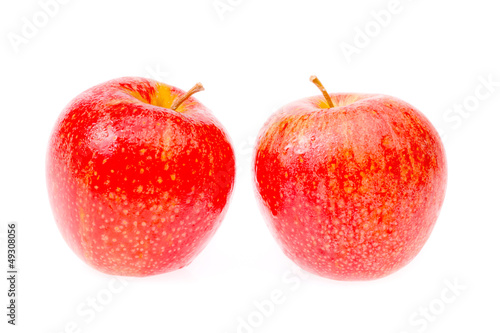 two apple on white background