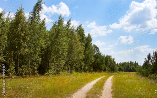 dirt road in a field near the forest