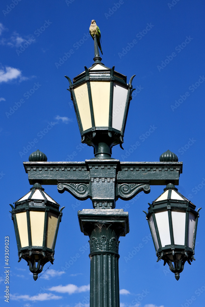 old green street lamp and parrot