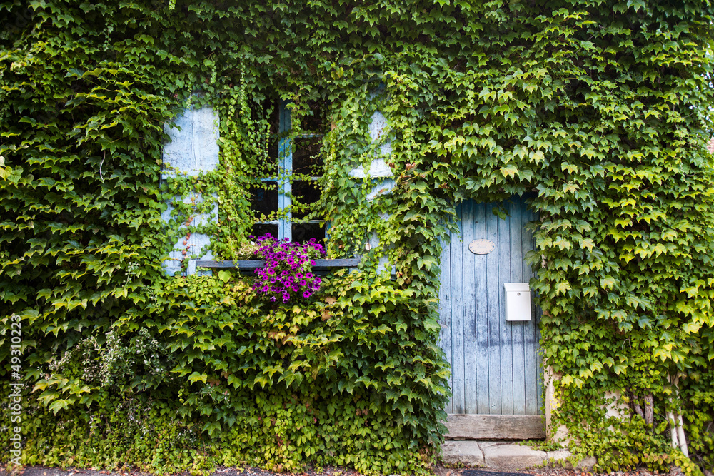  French rural house covered in leaves