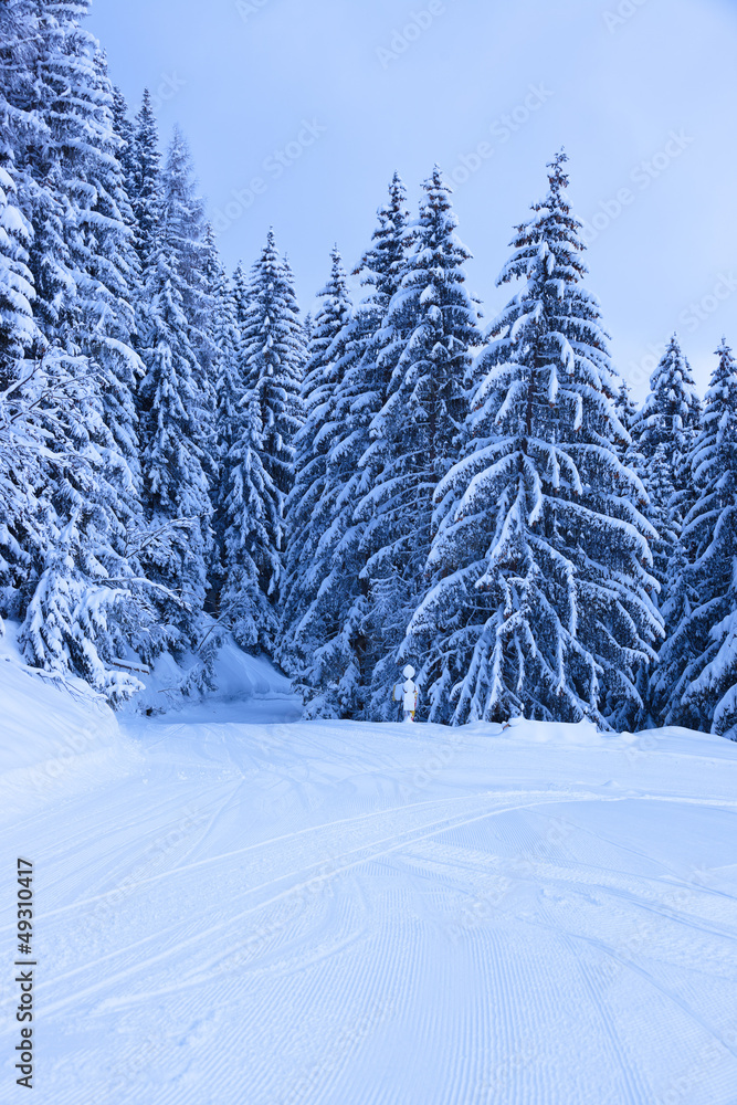 Fototapeta premium Mountains ski resort Zell-am-See Austria