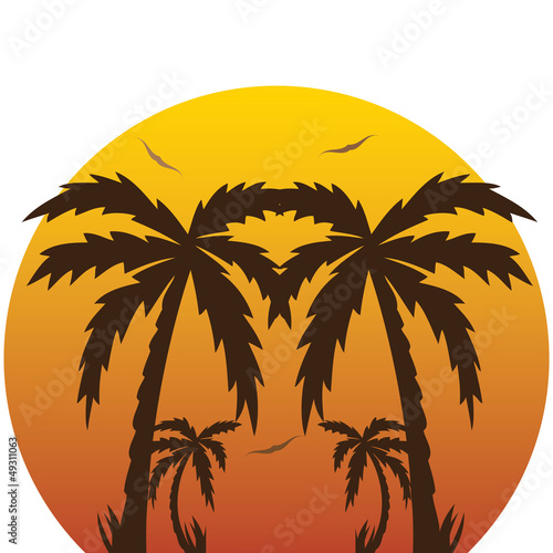 Vector illustration of a tropical sunset and palm trees.