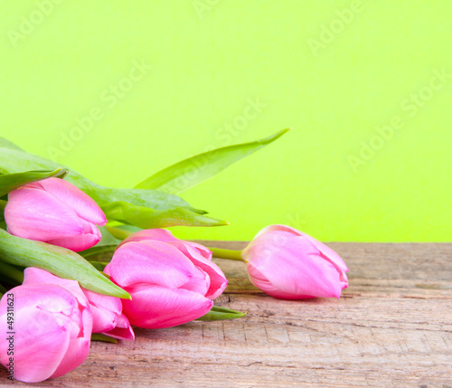 Fototapeta Naklejka Na Ścianę i Meble -  Rosa Tulpen auf Holz