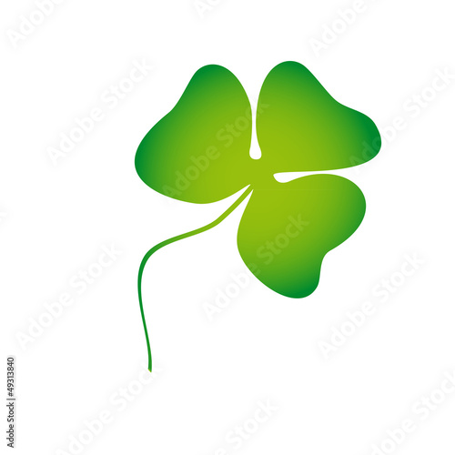trifoliate clover