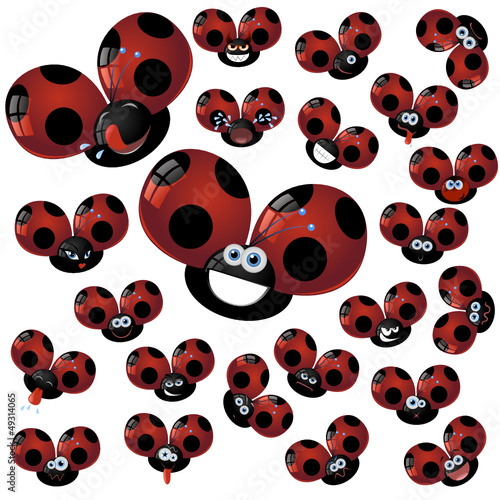 coccinelle espressive 2
