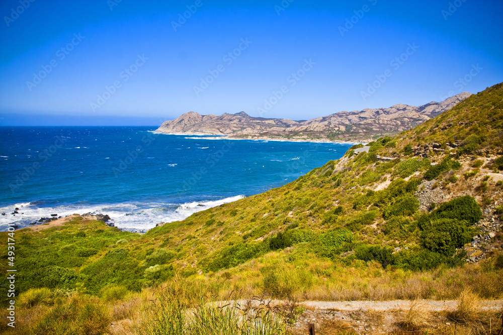 Crystal sea along beuty green coastline in island Corsica