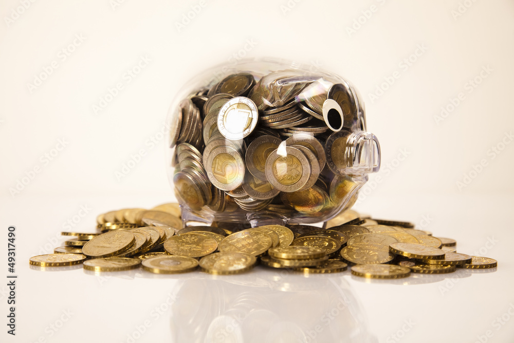 Piggy bank and money Piggy bank and money