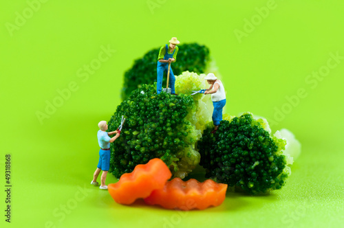 Figurine farmers harvesting broccoli
