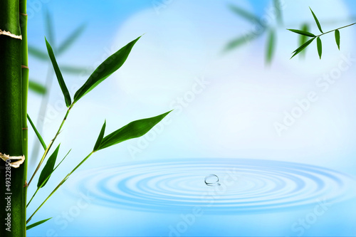 Abstract oriental backgrounds with bamboo and water ripple © Dmytro Tolokonov