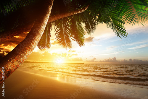 Fototapeta Naklejka Na Ścianę i Meble -  sunrise on Caribbean beach