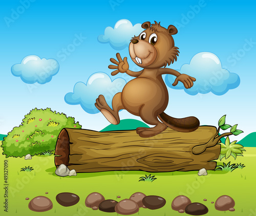 A dancing beaver