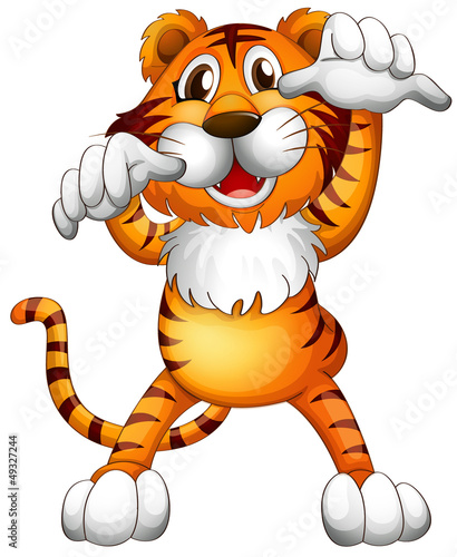 A scary little tiger