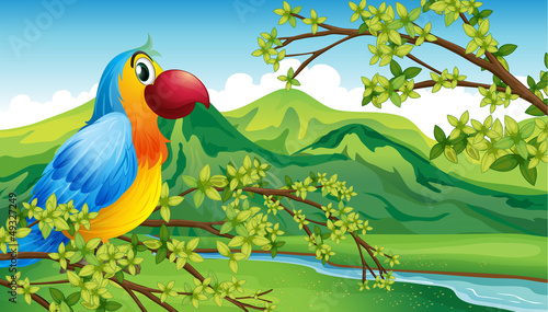 A parrot on a branch of a tree