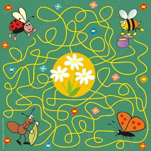 insect - maze