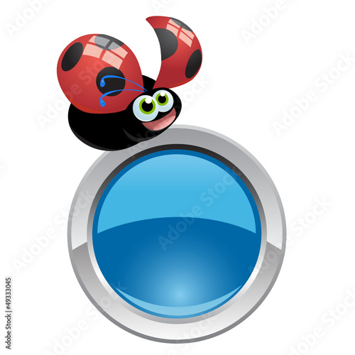 bottone coccinella