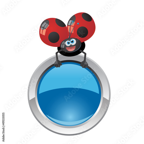 bottone coccinella