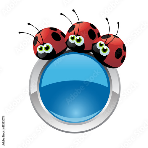 bottone coccinella