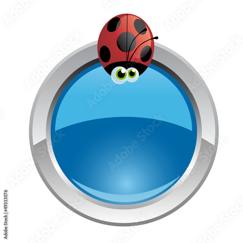 bottone coccinella
