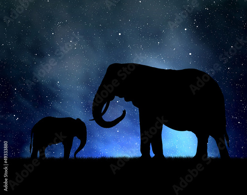 Silhouette elephants in the night sky