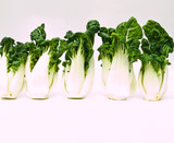 Bunch of Fresh baby bok choy, Brassica rapa chinensis,  isolated