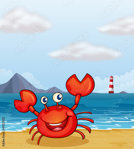 A crab at the seashore