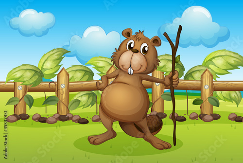 A beaver holding a stick