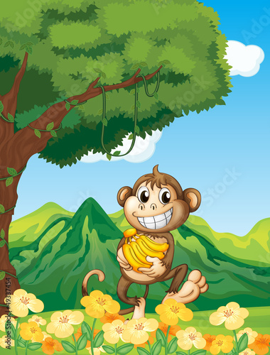 A monkey holding a banana in the forest