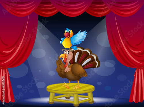 A parrot and a turkey at the stage