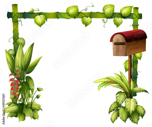 A letter box and plants