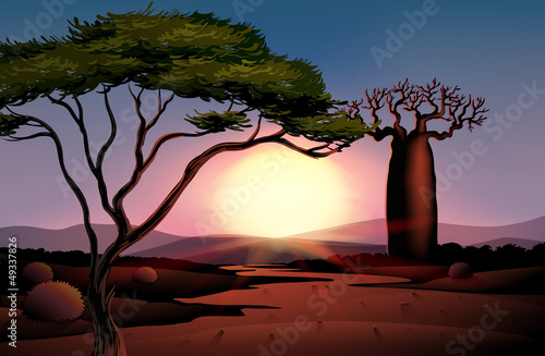 A tree and a beautiful landscape