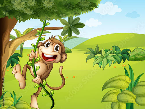 A hanging monkey and a beautiful nature