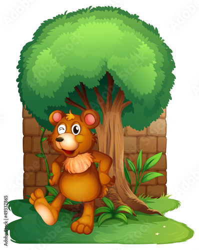 A bear