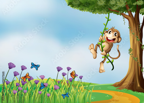 A monkey hanging on a vine plant