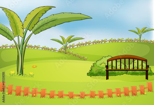 An empty park