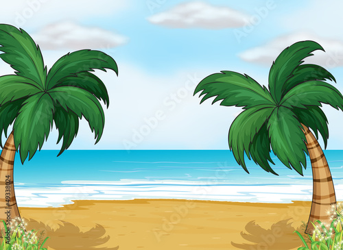 Fototapeta Naklejka Na Ścianę i Meble -  Coconut trees in the seashore