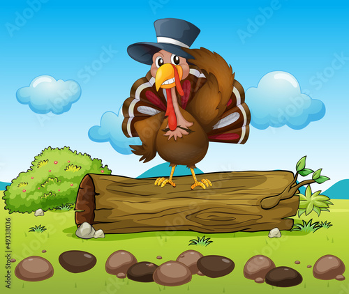 A bird standing on a dry wood