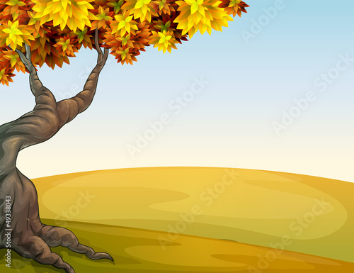 An autumn scenery