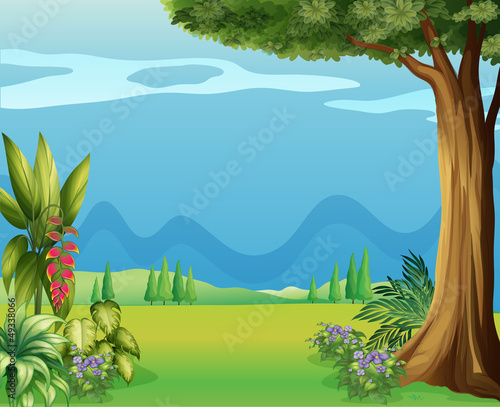 Natural view of mother nature